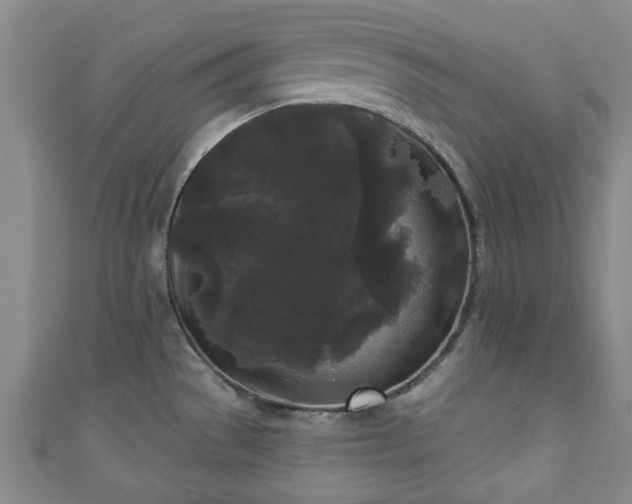 X0000110941529200906261250