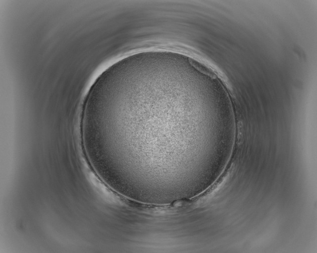 X0000110941530200906261250