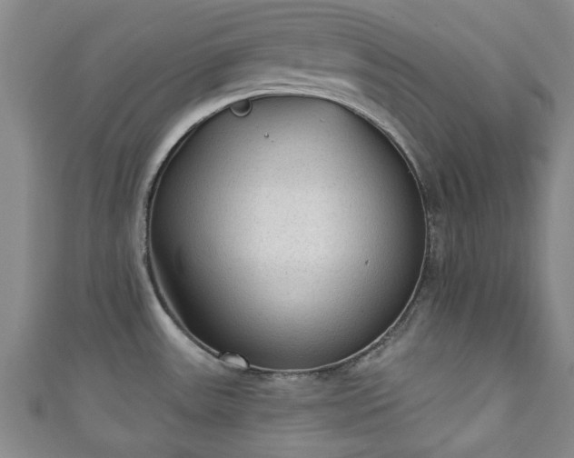 X0000110941531200906261250