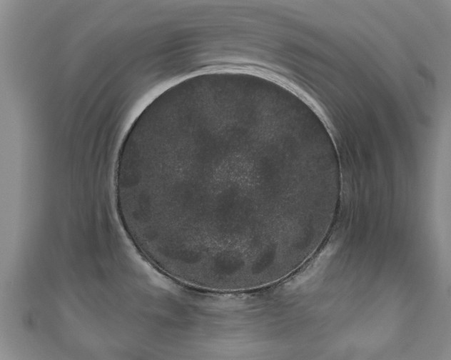 X0000110941533200906261250