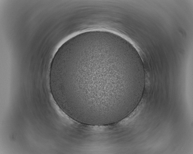 X0000110941534200906261250