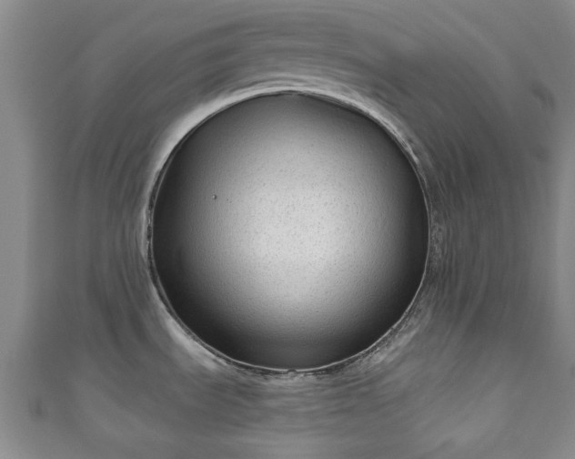 X0000110941535200906261250