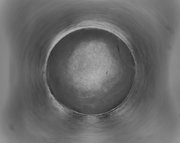 X0000110941536200906261250