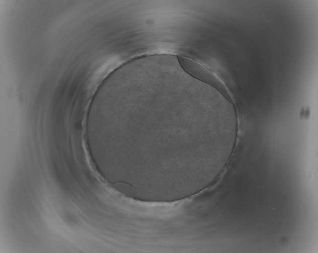 X0000110940001200907022144