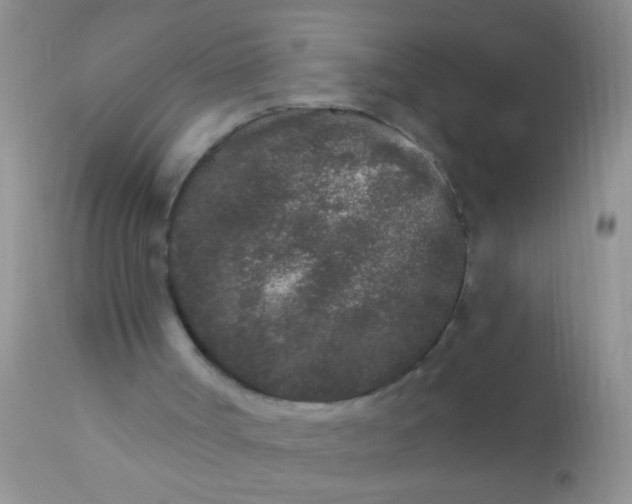 X0000110940002200907022144