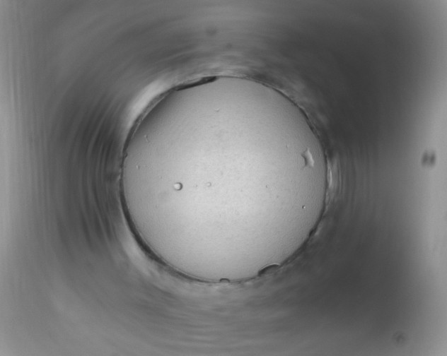 X0000110940003200907022143