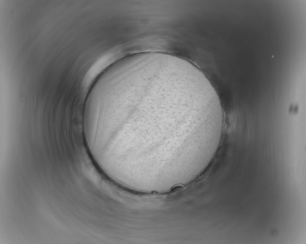 X0000110940004200907022143