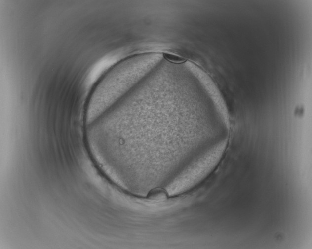 X0000110940006200907022143