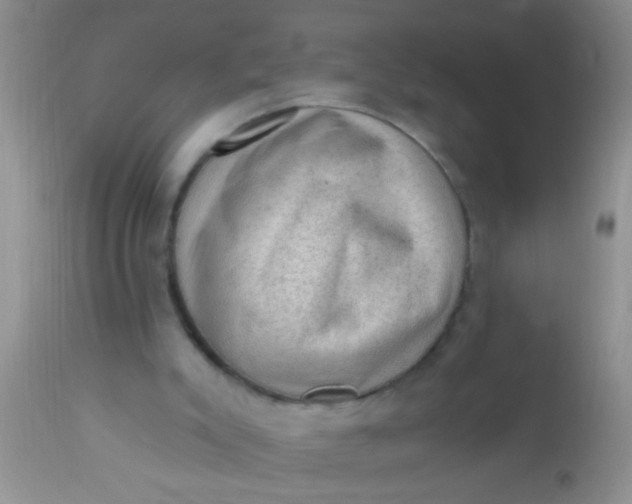 X0000110940007200907022143