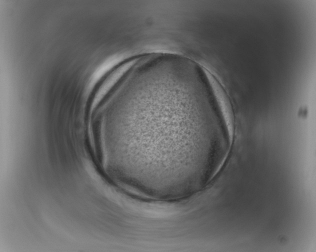 X0000110940008200907022143