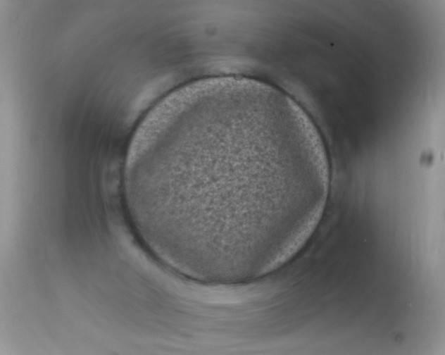 X0000110940010200907022143