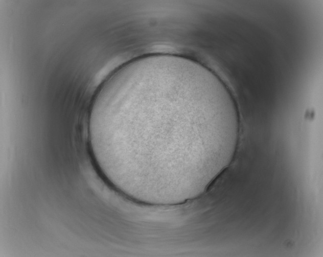 X0000110940011200907022143