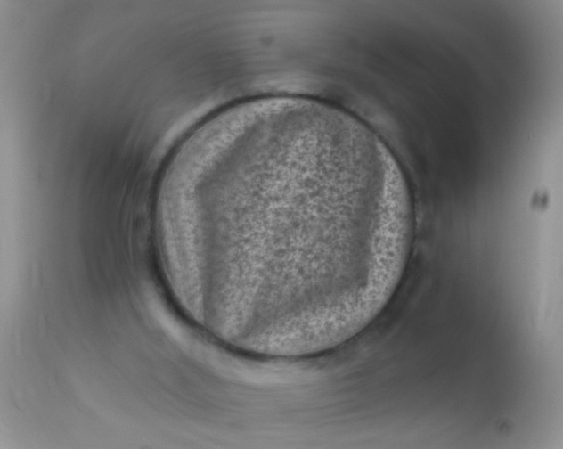 X0000110940012200907022143