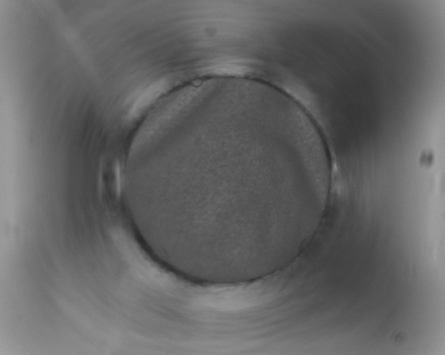 X0000110940013200907022143