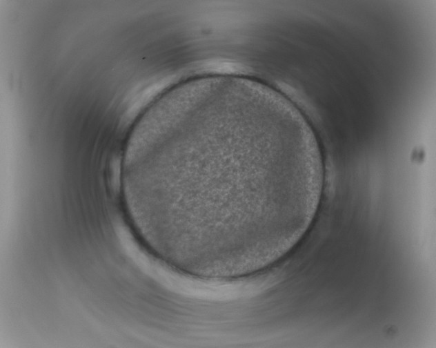 X0000110940014200907022143