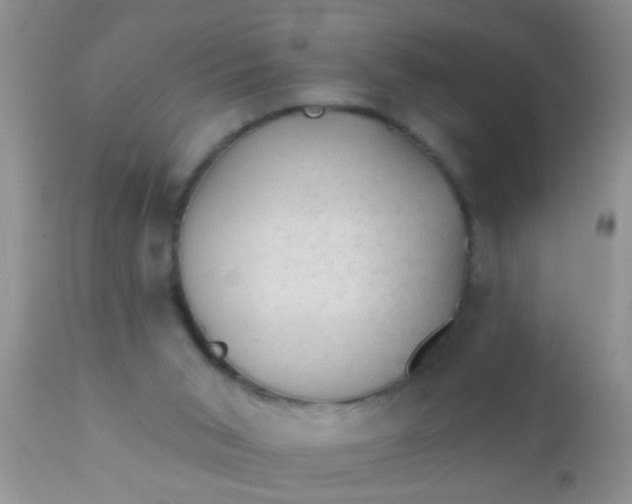 X0000110940015200907022143