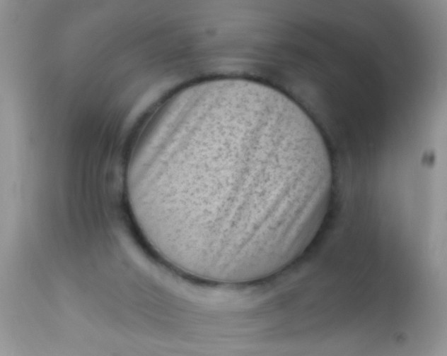 X0000110940016200907022143