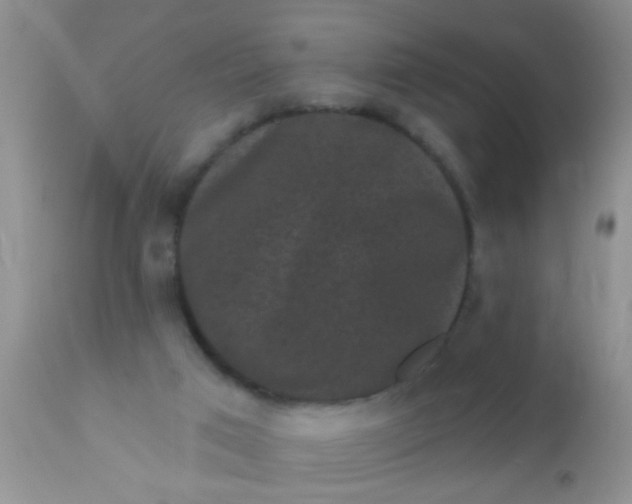 X0000110940017200907022143