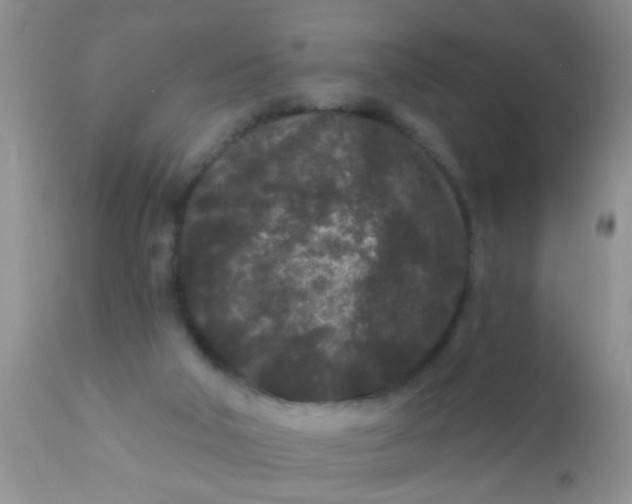 X0000110940018200907022143