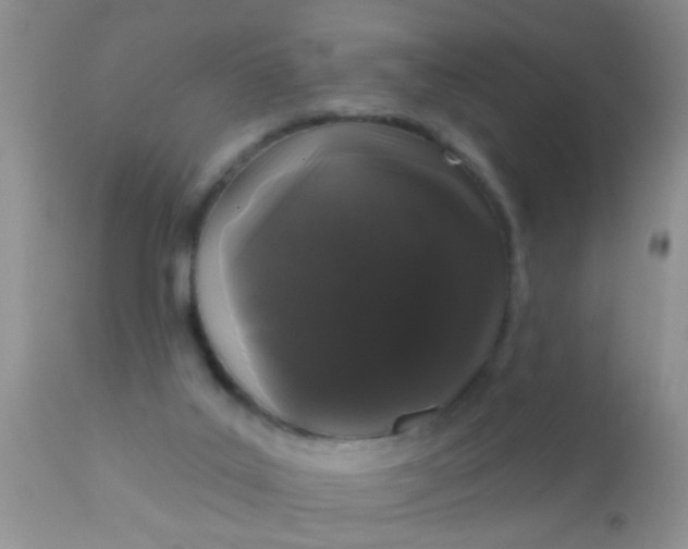 X0000110940019200907022143