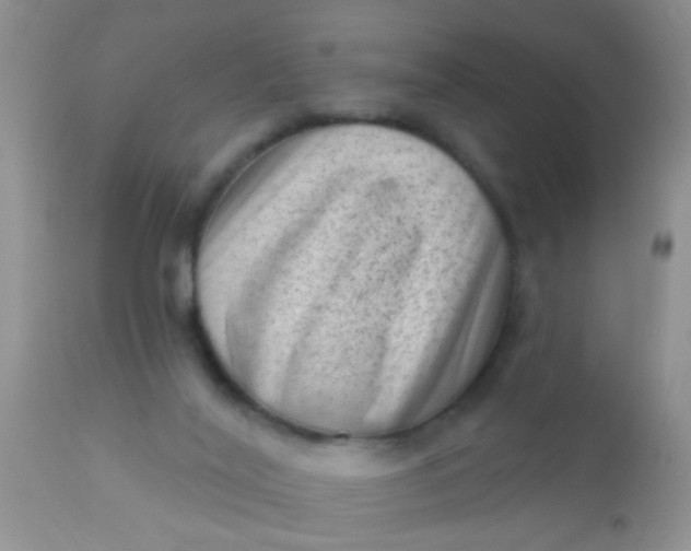 X0000110940020200907022143