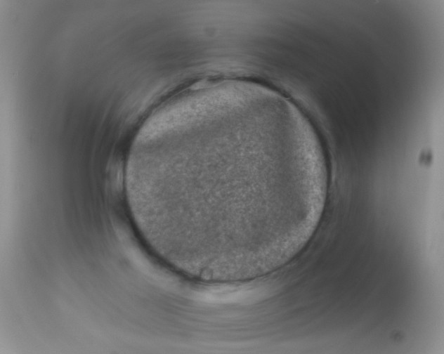 X0000110940021200907022143