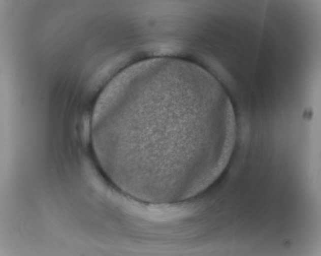 X0000110940022200907022143