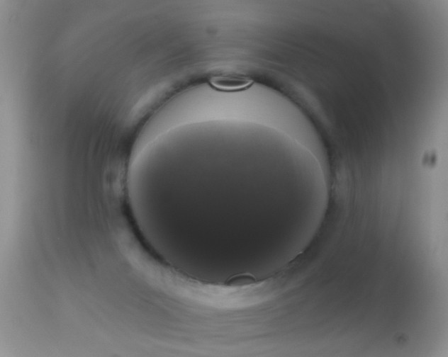 X0000110940023200907022143