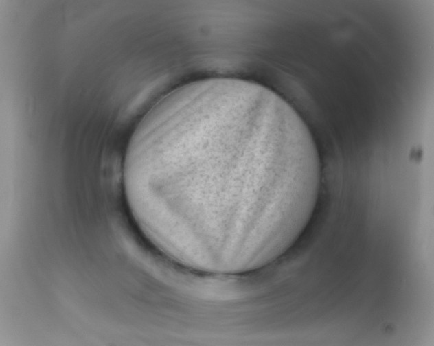 X0000110940024200907022143