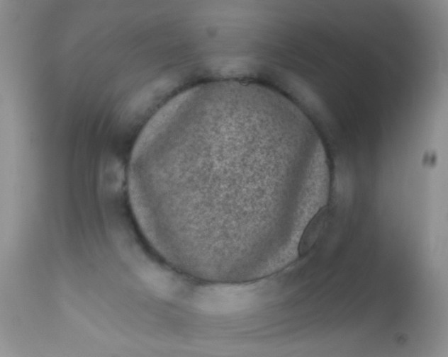 X0000110940025200907022143