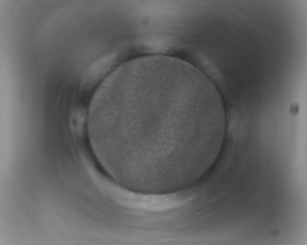 X0000110940026200907022143