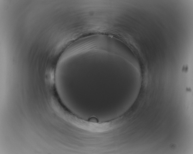 X0000110940027200907022143