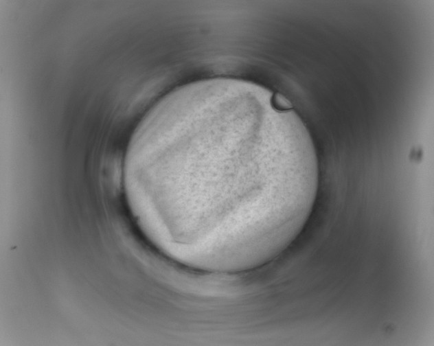 X0000110940028200907022143