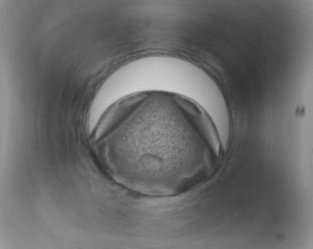 X0000110940029200907022143