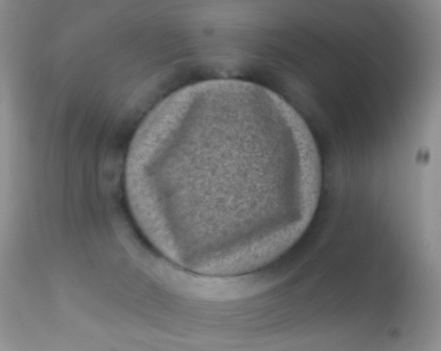 X0000110940030200907022143