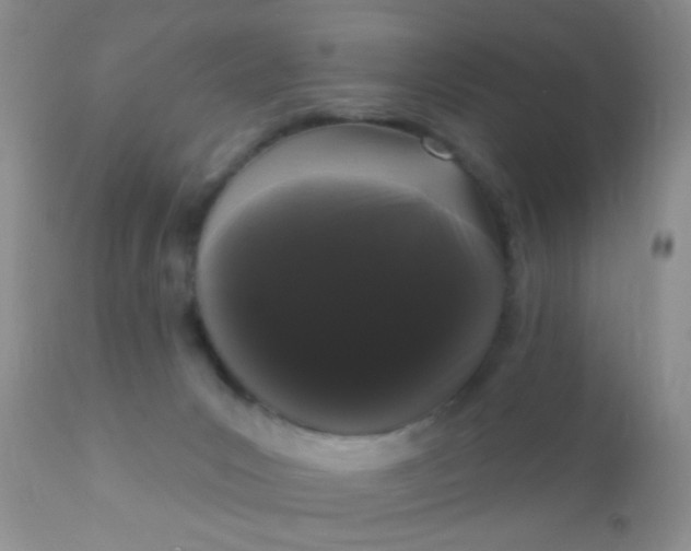 X0000110940031200907022143