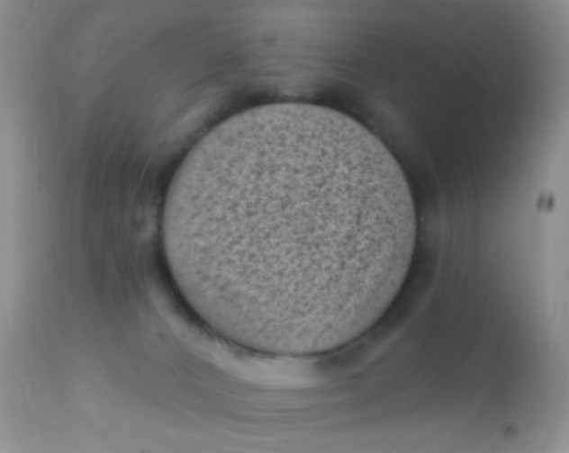 X0000110940032200907022143