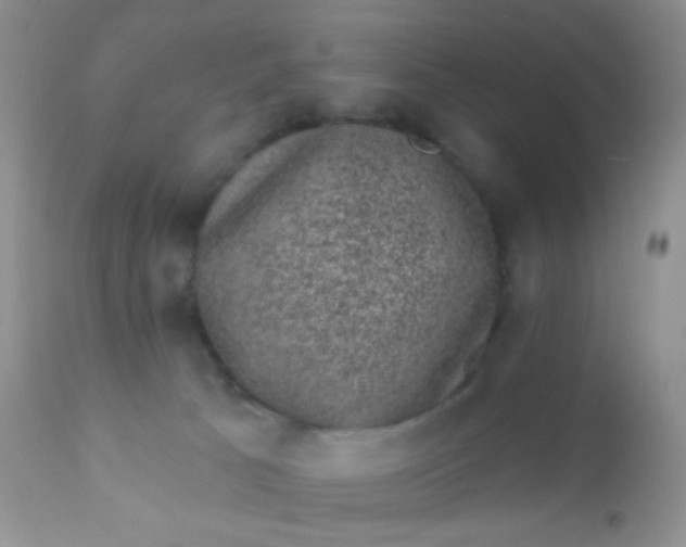 X0000110940033200907022143