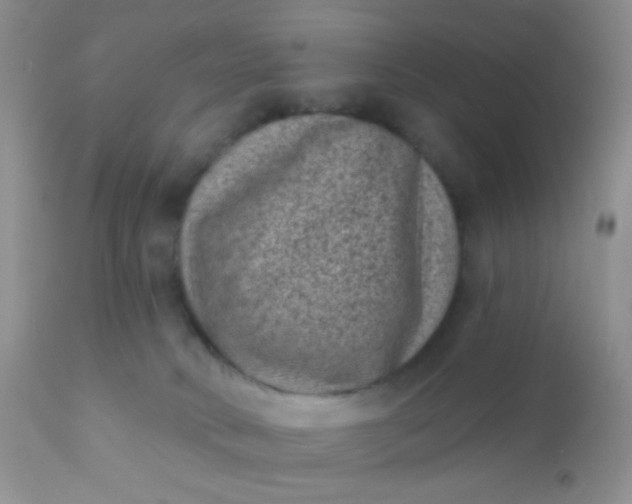 X0000110940034200907022143