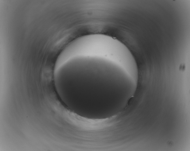 X0000110940035200907022143