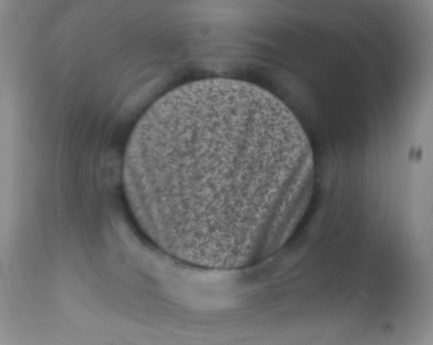 X0000110940036200907022143