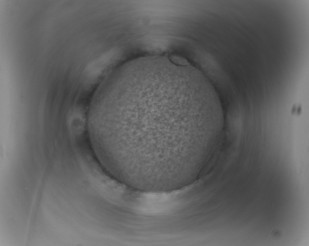 X0000110940037200907022143