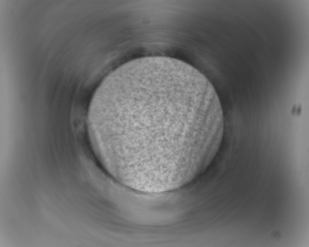 X0000110940038200907022143