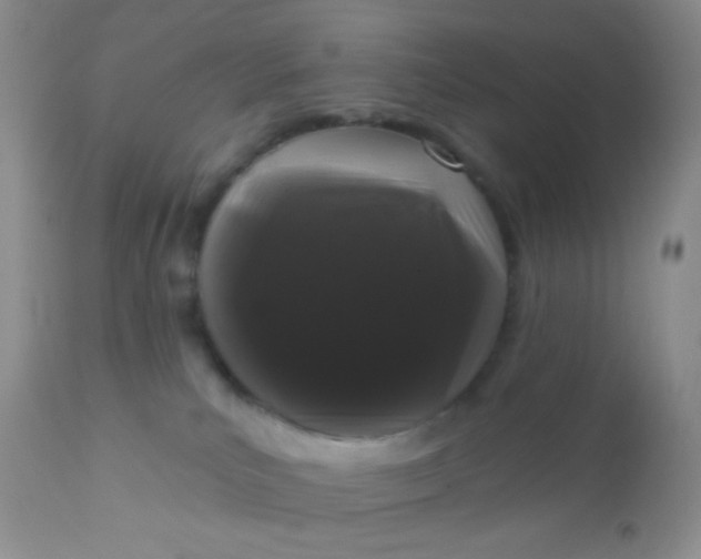 X0000110940039200907022143