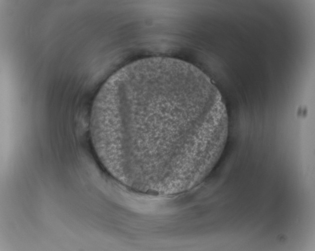 X0000110940040200907022143