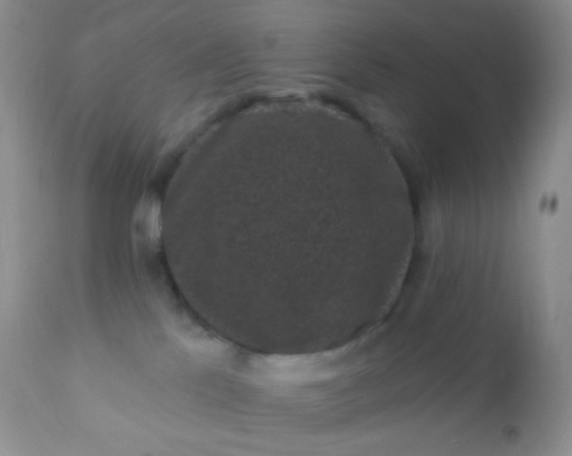 X0000110940041200907022143