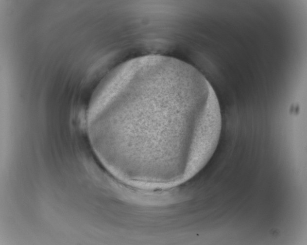 X0000110940042200907022143