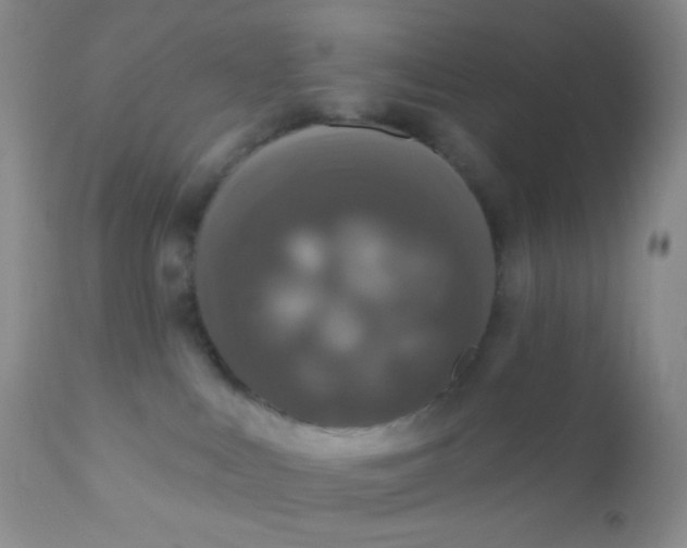 X0000110940043200907022143