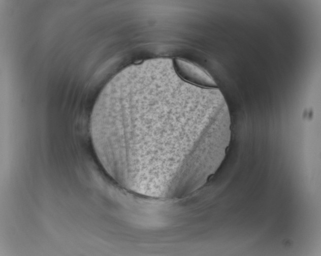 X0000110940044200907022143