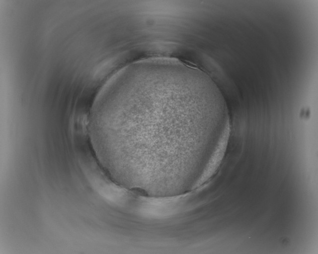 X0000110940045200907022143